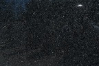 BLACK SAN GABRIEL